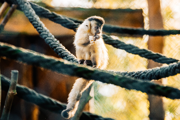 Bild 4 von Tierpark Greifswald gGmbH