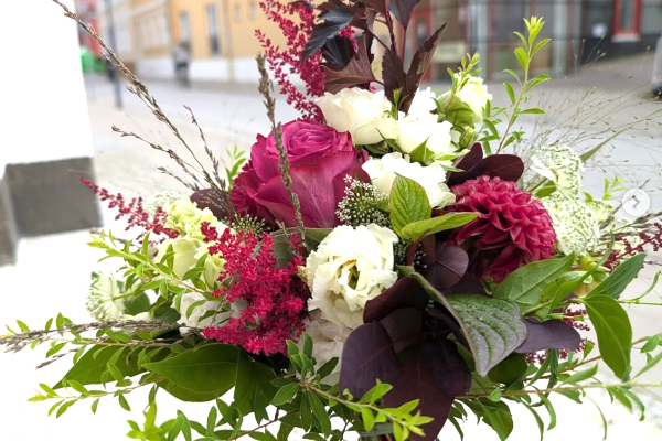 Bild 4 von Flower Power Greifswald UG
